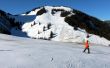 20110210-a-wiriehorn-2733.jpg