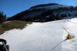 20110210-a-wiriehorn-2746.jpg