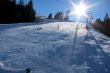 20110210-a-wiriehorn-2751.jpg