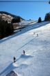 20110210-a-wiriehorn-2752.jpg
