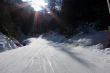 20110211-wengen-2816.jpg