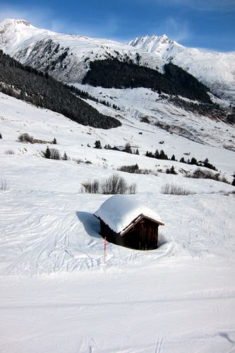 1. März 2011
