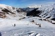 20110301-sedrun-2953.jpg