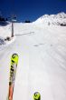 20110302-sedrun-2955.jpg