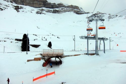 15. März 2011
