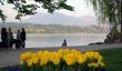 Dateiname=20110421-luzern-4063.jpg
Dateigröße=213KB
Abmessungen: 900x530
hinzugefügt am: 21. April 2011 20110421-luzern-4063.jpg