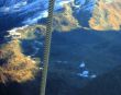 20111123-zermatt-6334.jpg
