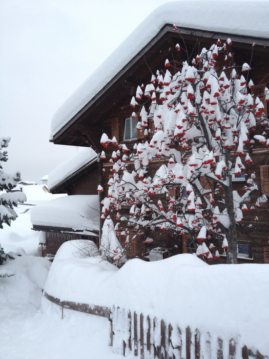 31. Dezember 2011, Sedrun
