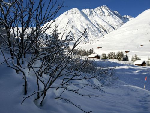 3. Januar 2012
