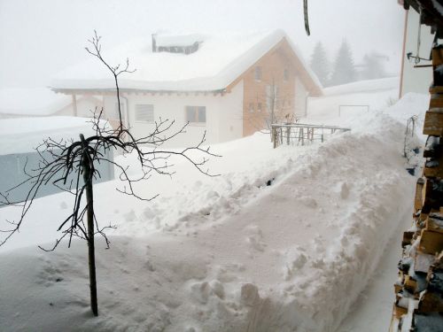 6. Januar 2012
