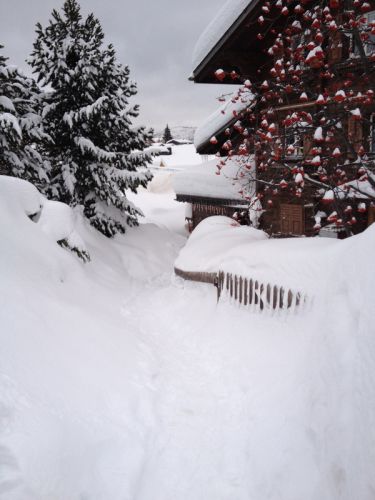 10. Januar 2012 im Dorf

