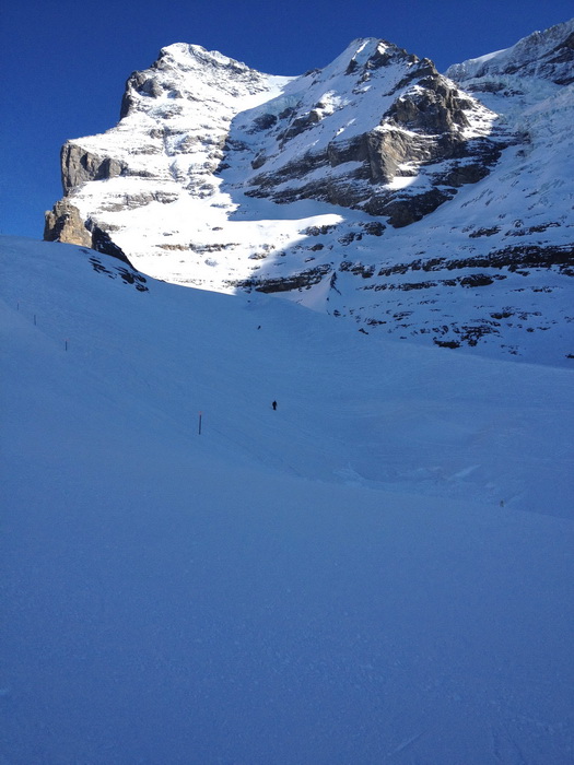 17. Januar 2012
