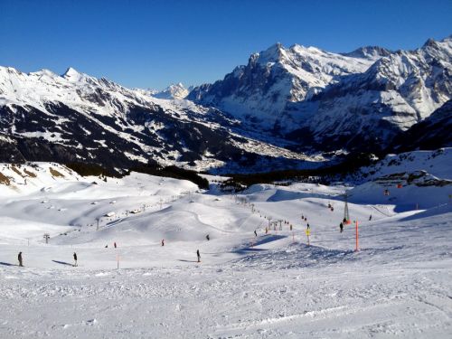 16. Januar 2012
