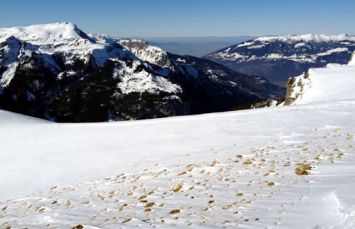 16. Januar 2012

