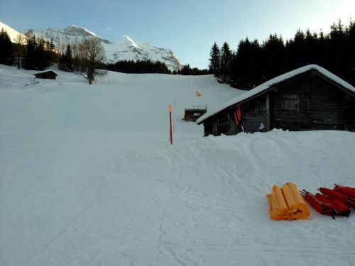 17. Januar 2012
