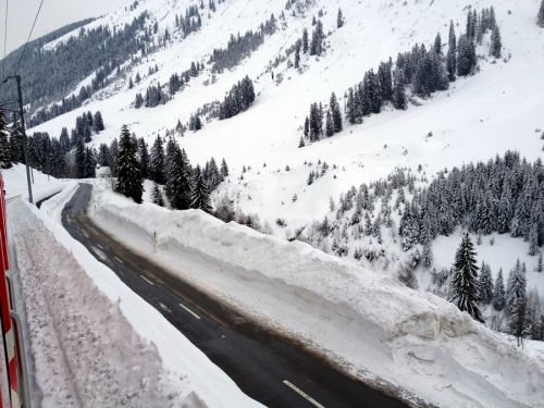 31. Januar 2012
