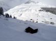 Dateiname=20120125-sedrun-1790.jpg
Dateigröße=172KB
Abmessungen: 900x675
hinzugefügt am: 29. Januar 2012 20120125-sedrun-1790.jpg
