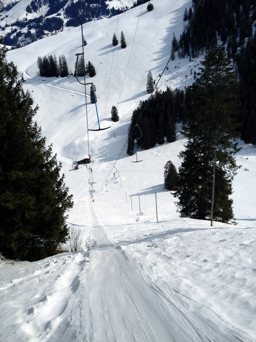 20120307-a-wiriehorn-2782.jpg