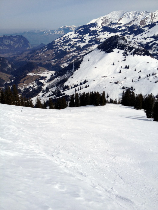 Wiriehorn, 7. März 2012

