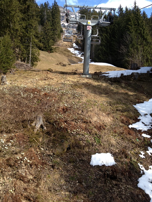 Innerwengen, 2. April 2012
