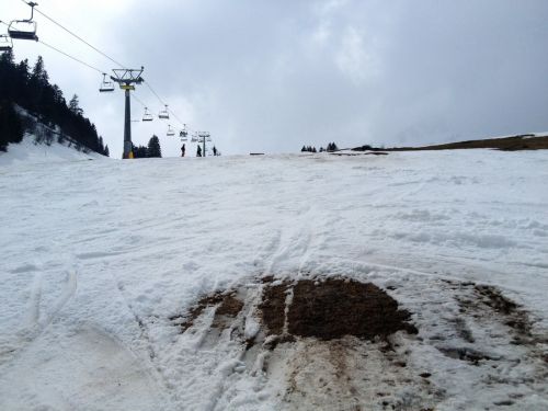 Langsam macht sich hier schon der Frühling bemerkbar
