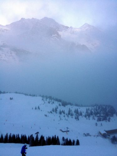 Wixi, 25. Januar 2013
