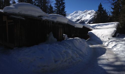 Sonntag, 3. März 2013 - Spaziertag
