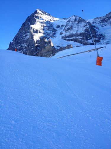 Mitteleggpiste: Toll
