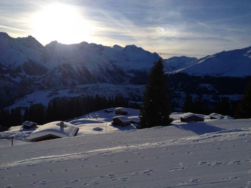 Disentis, 8.1.2014
