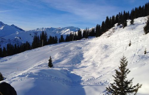 Disentis, 8.1.2014
