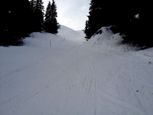 Disentis, 8.1.2014
