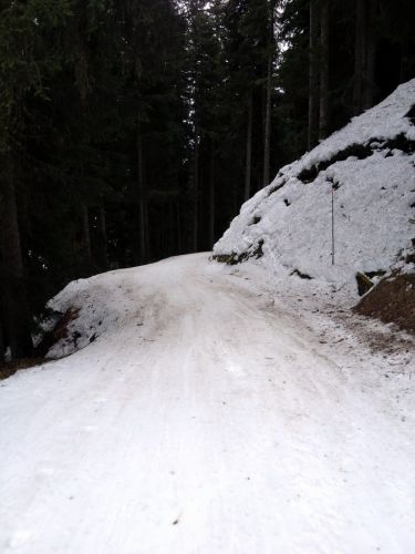 Disentis, 8.1.2014

