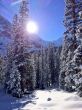 20140122-wengen5544.jpg