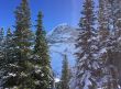 20140122-wengen5560.jpg