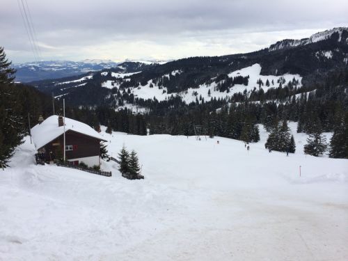 Selital, 10.2.2014
