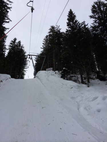 Selital, 10.2.2014
