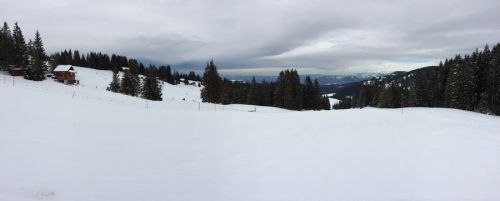 Selital, 10.2.2014
