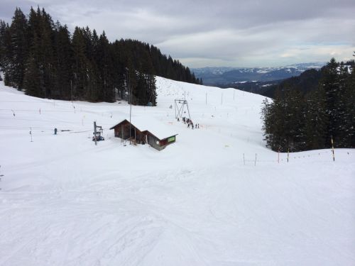 Selital, 10.2.2014
