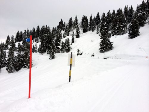 Selital, 10.2.2014
