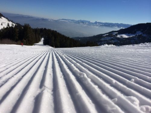 Skitag Gurnigel 7.3.2014: Bilder in separatem Album [url=http://www.jacomet.ch/themen/skilift/album/thumbnails.php?album=251]hier[/url] 
