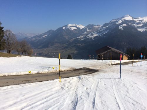 Zweisimmen, 14.3.2014
