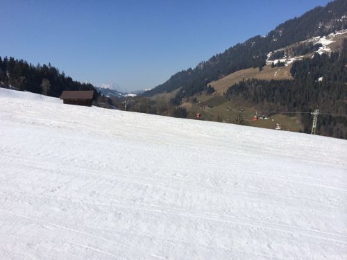 Zweisimmen, 14.3.2014

