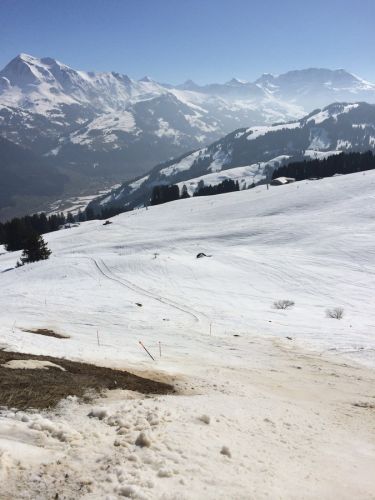 Zweisimmen, 14.3.2014
