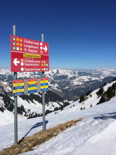 Zweisimmen, 14.3.2014
