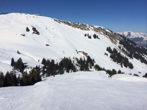 Zweisimmen, 14.3.2014
