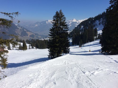 Zweisimmen, 14.3.2014
