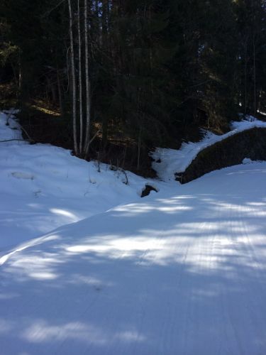 Zweisimmen, 14.3.2014
