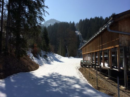 Zweisimmen, 14.3.2014
