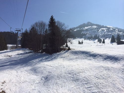 Zweisimmen, 14.3.2014
