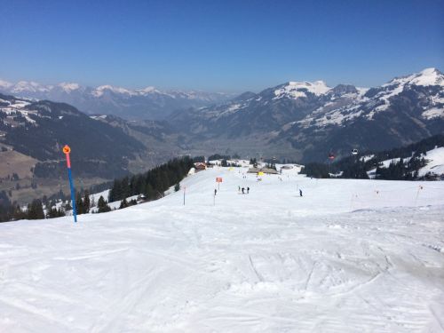 Zweisimmen, 14.3.2014
